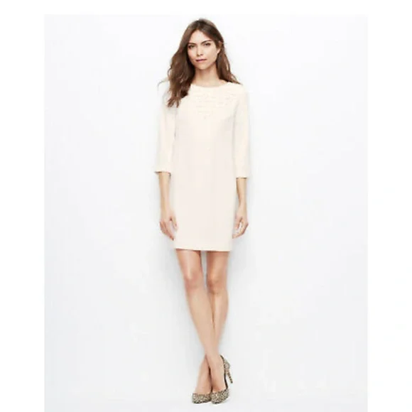 Ann Taylor | Dresses | Beautiful Shift Dress | Poshmark